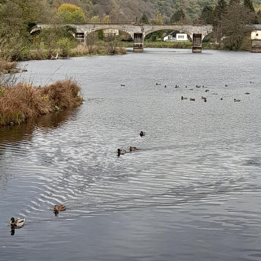 Le Sentier Des Lavandes Vresse-sur-Semois Extérieur photo