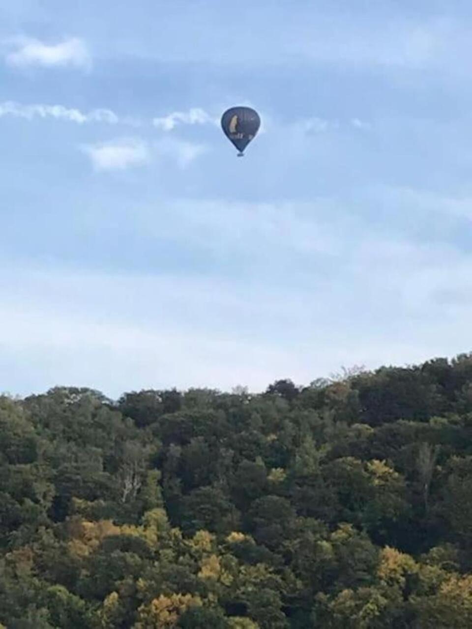 Le Sentier Des Lavandes Vresse-sur-Semois Extérieur photo