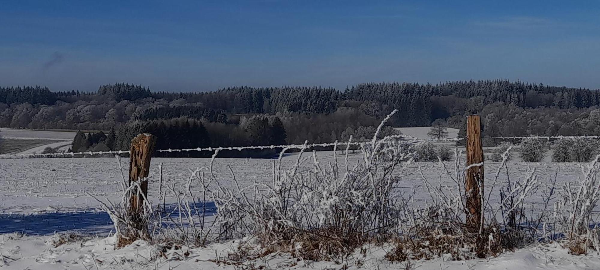 Le Sentier Des Lavandes Vresse-sur-Semois Extérieur photo