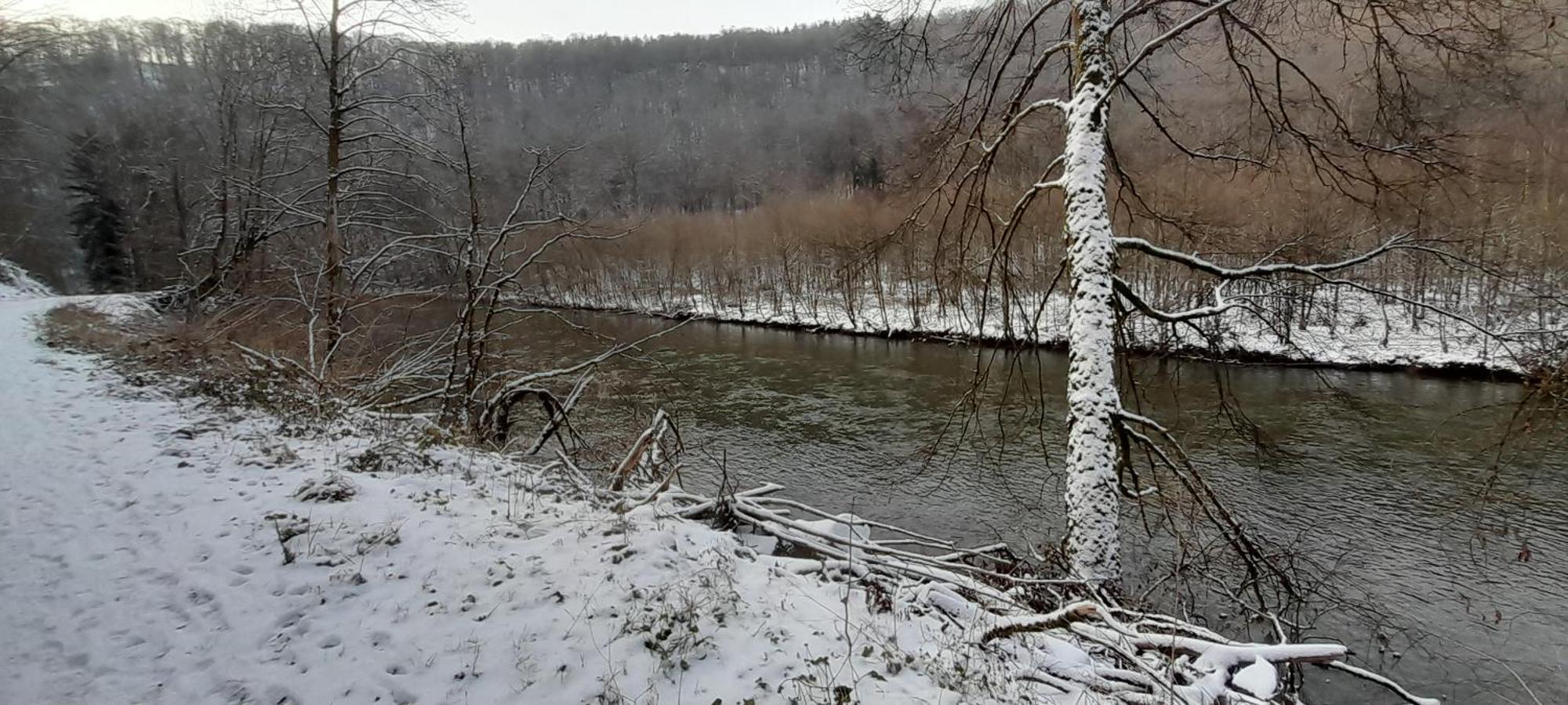 Le Sentier Des Lavandes Vresse-sur-Semois Extérieur photo
