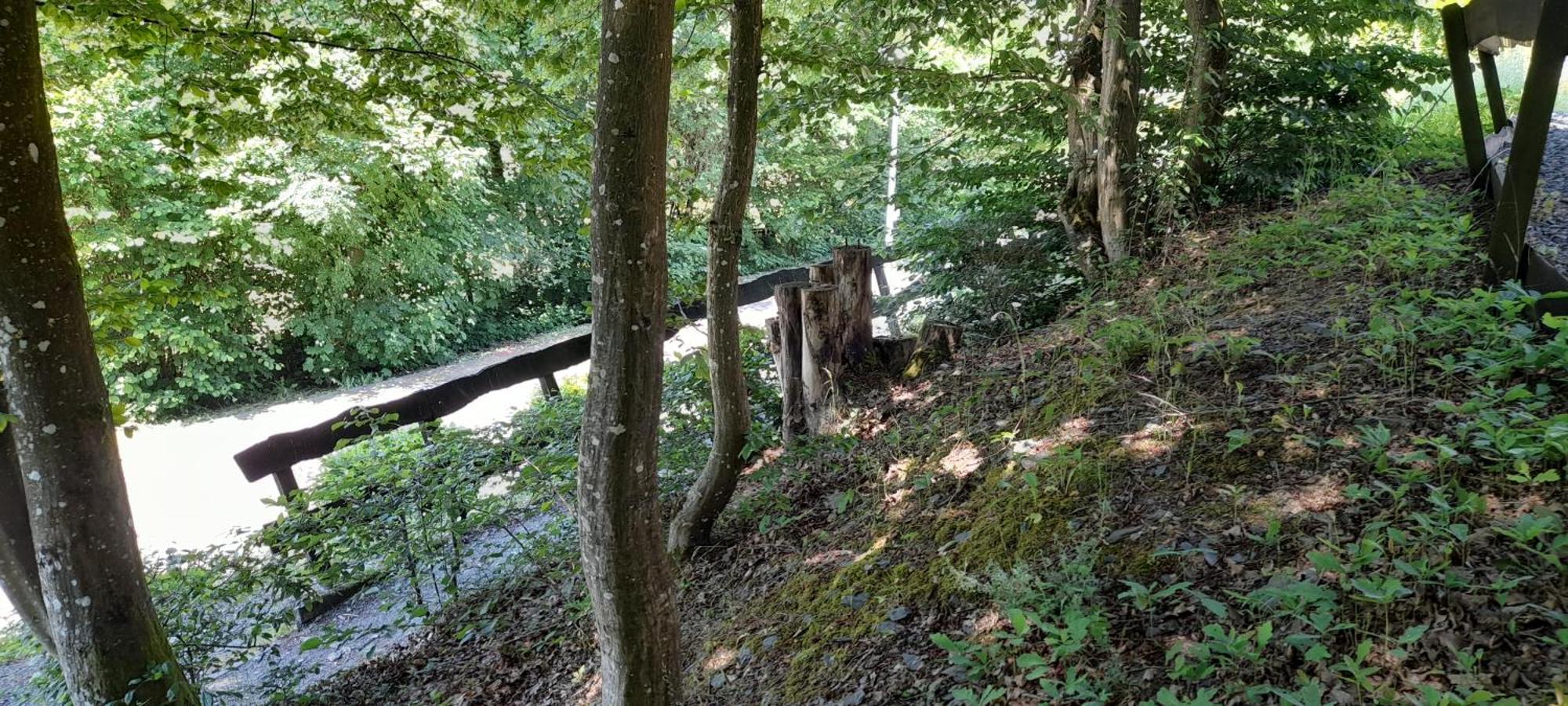 Le Sentier Des Lavandes Vresse-sur-Semois Extérieur photo