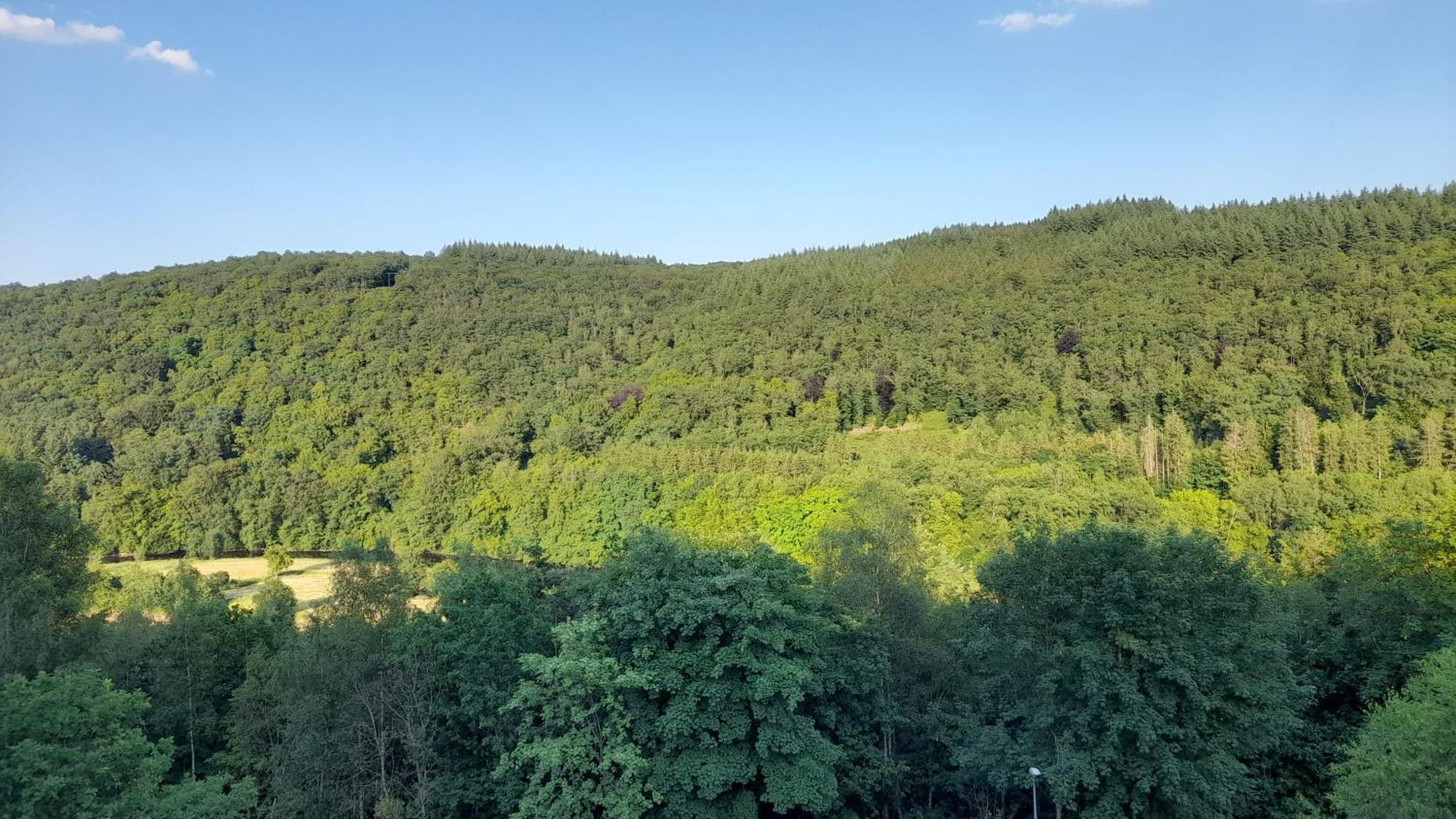 Le Sentier Des Lavandes Vresse-sur-Semois Extérieur photo
