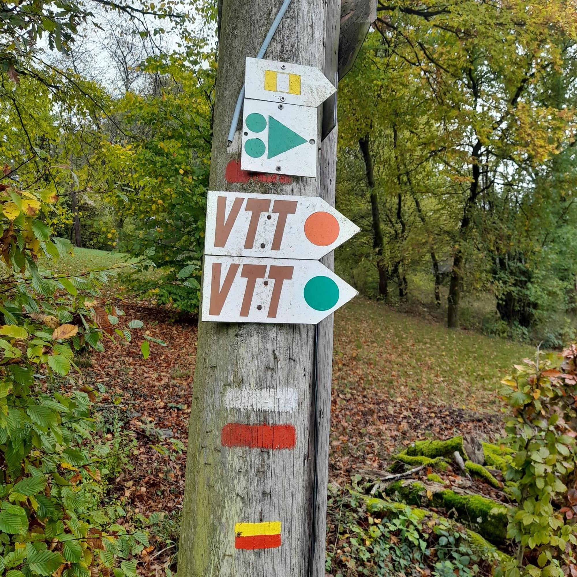 Le Sentier Des Lavandes Vresse-sur-Semois Extérieur photo