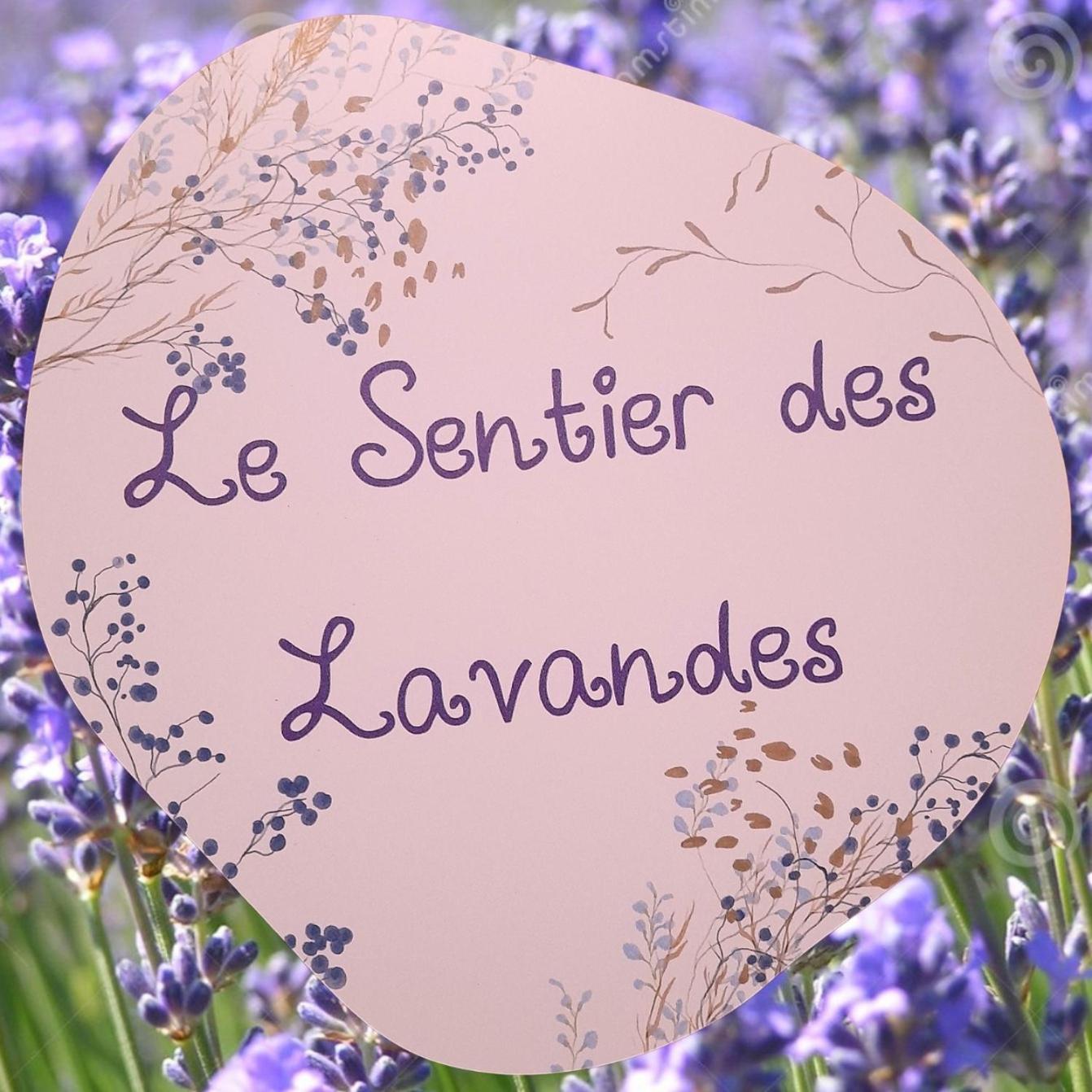 Le Sentier Des Lavandes Vresse-sur-Semois Extérieur photo