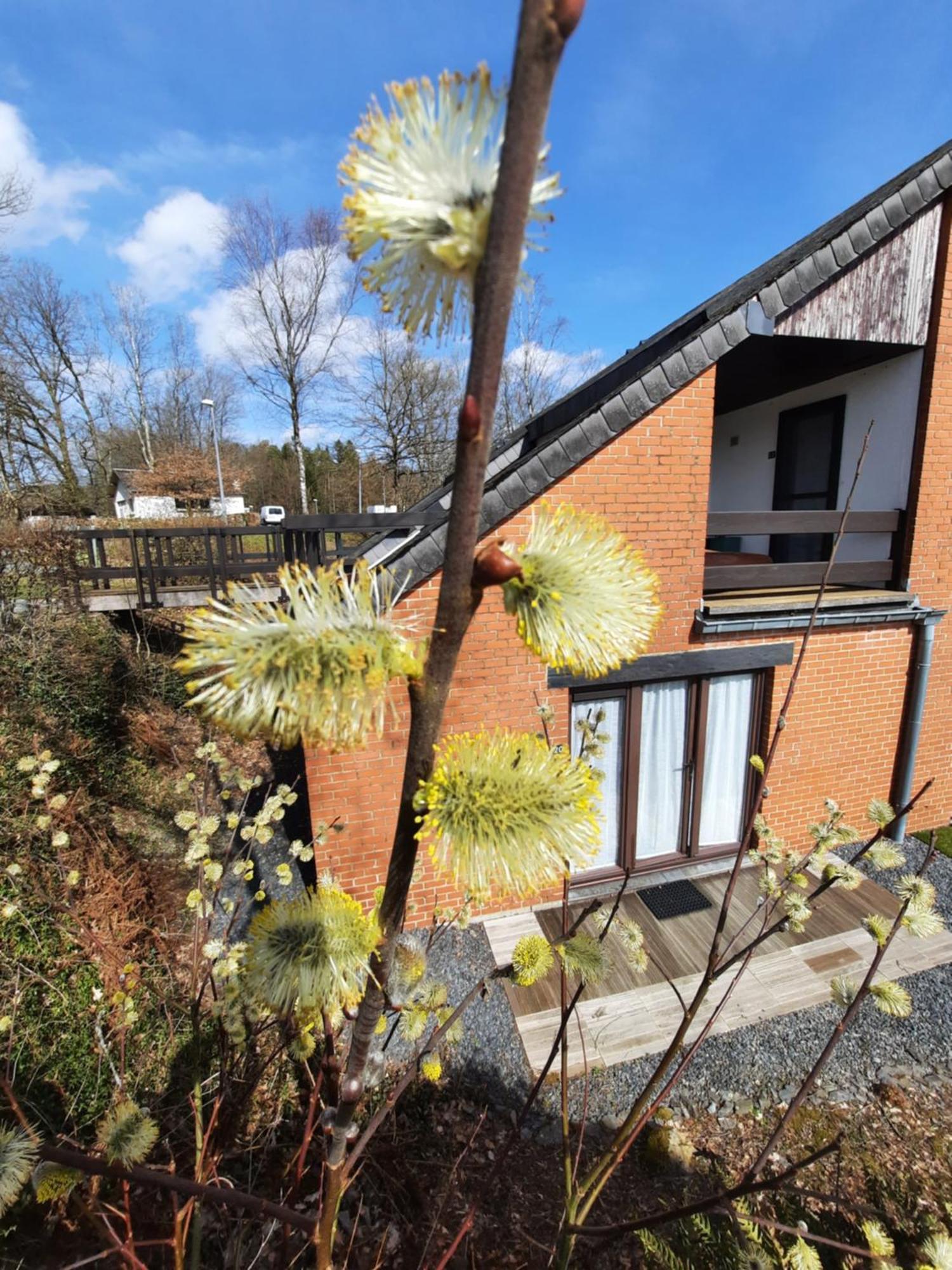 Le Sentier Des Lavandes Vresse-sur-Semois Extérieur photo